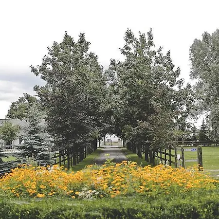 Dworek Tuszkowka W Kaputach B&B Stare Babice
