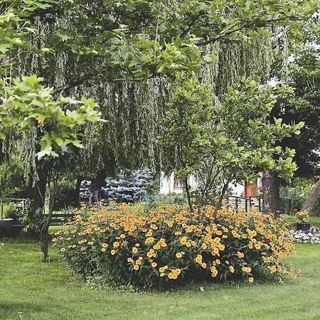 Dworek Tuszkowka W Kaputach 3*