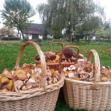 Dworek Tuszkowka W Kaputach 3*